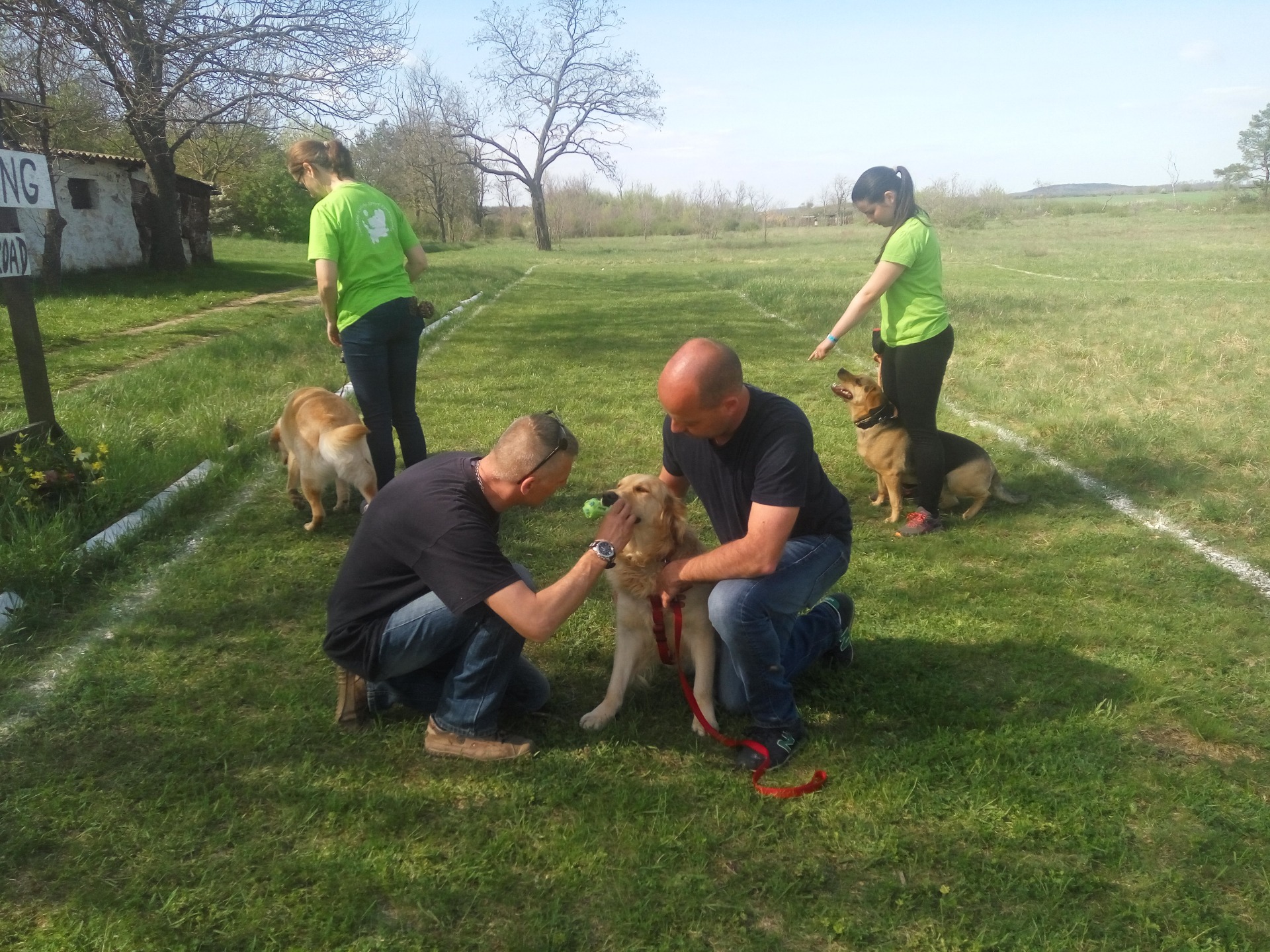 Kutyasuli képekben-2018